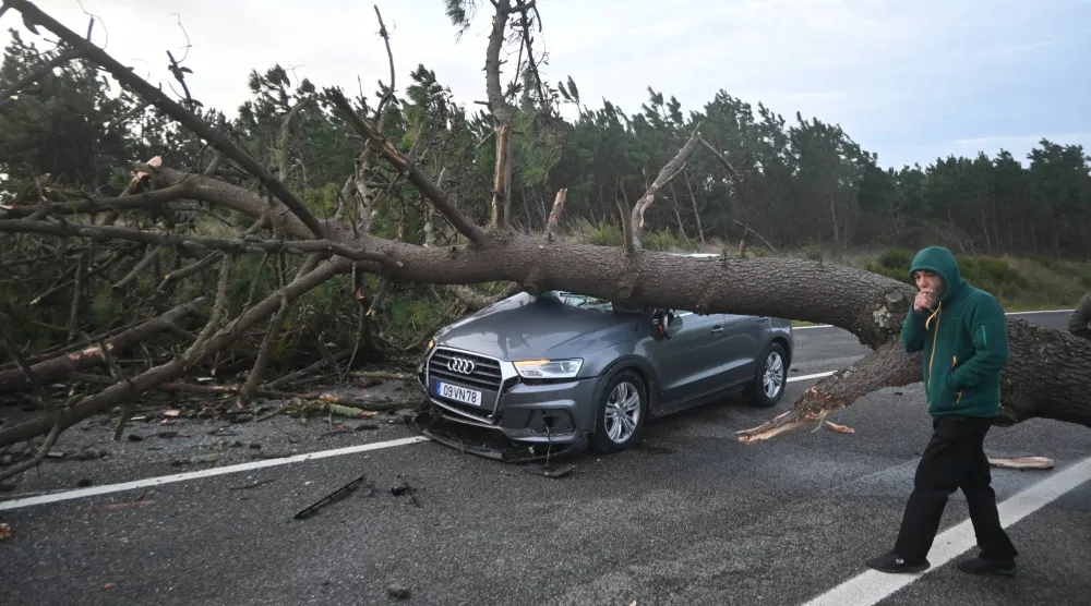 سيارة محطمة نتيجة سقوط شجرة عليها وسط الطريق في البرتغال (إ.ب.أ)