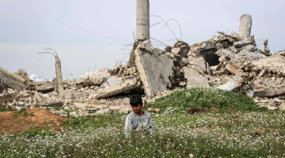 Filistinli bir çocuk, Gazze Şeridi'nin merkezindeki Deyr el-Belah'ın kuzeyinde bulunan Nuseyrat kampında yıkılmış binaların yakınındaki bir tarladan çiçek topluyor (Arşiv-AFP)