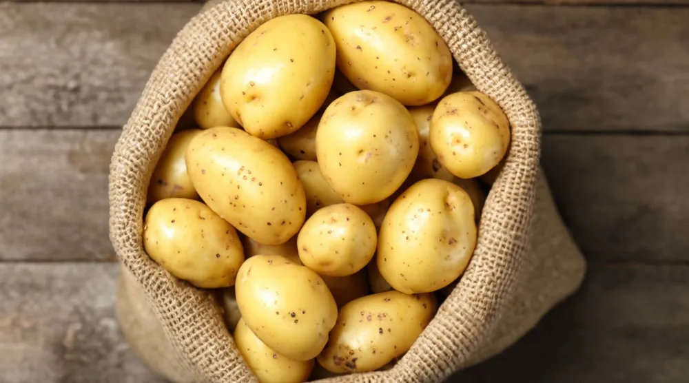 البطاطا في قلب نقاش ألماني (شاترستوك)