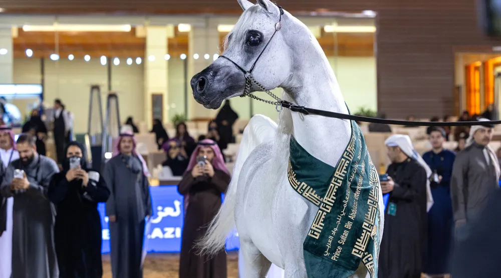 الفحل «عمار» خلال التتويج (الشرق الأوسط)