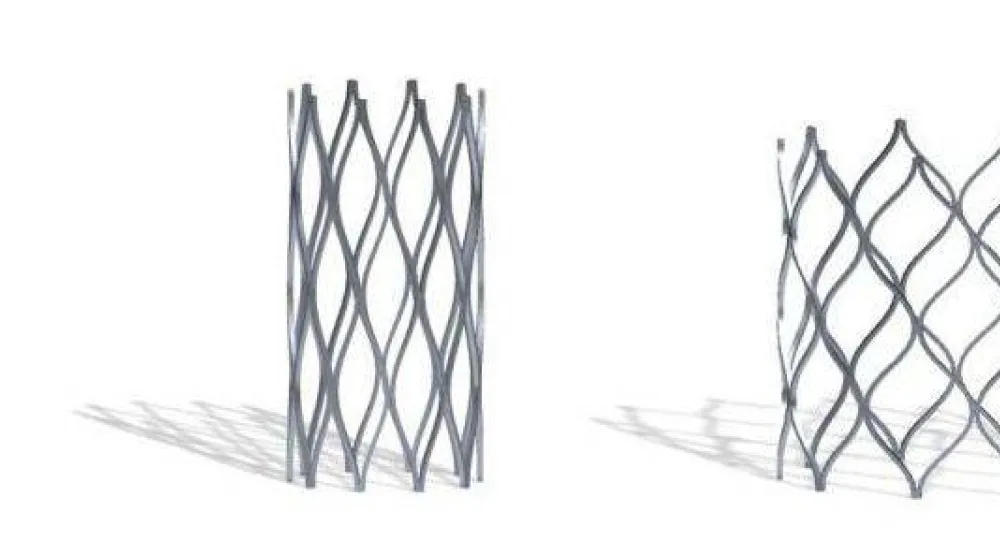 الدعامة قابلة للتمدد مع نمو الصغار