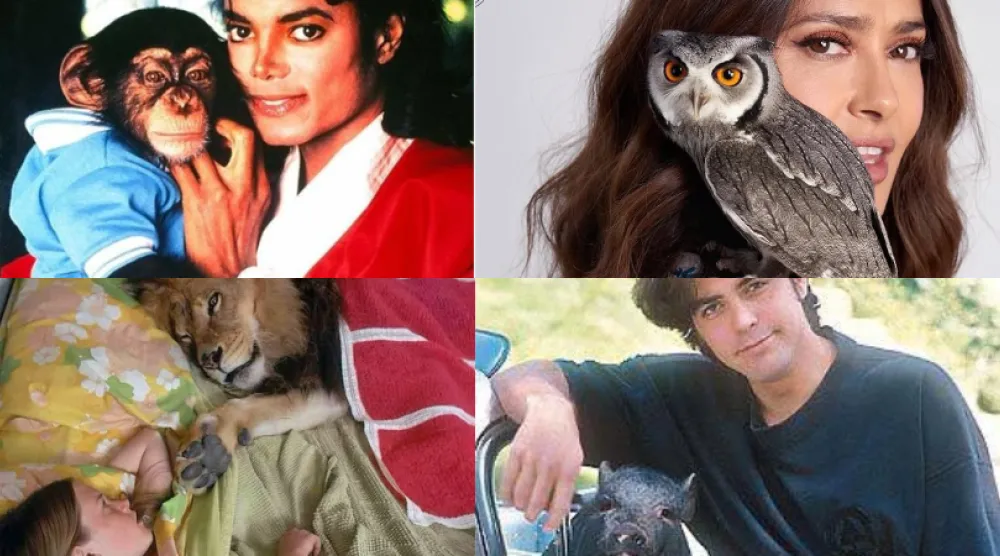 حيوانات غريبة وغير أليفة على أكتاف المشاهير وفي غرف نومهم