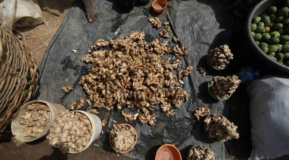 حبات من الزنجبيل في نيجيريا (أرشيفية-رويترز)