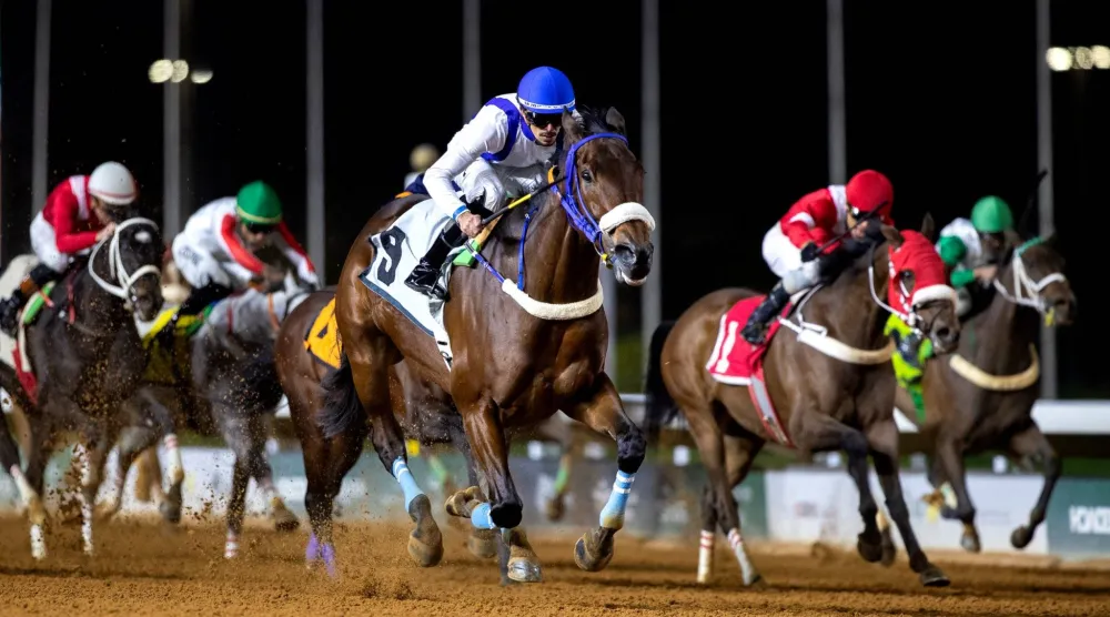 الخيال عادل الفريدي (نادي سباقات الخيل)