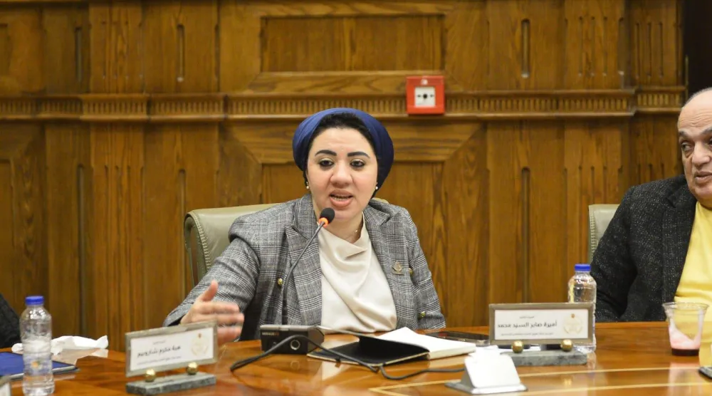 النائبة المصرية أميرة صابر (صفحتها على موقع التواصل الاجتماعي فيسبوك)