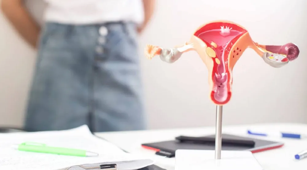 الاستئصال الوقائي لقناتي فالوب يقلل خطر الإصابة بسرطان المبيض (جامعة كولومبيا البريطانية)