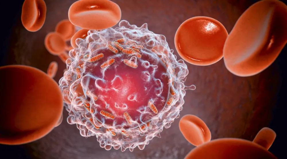 
شكل تصويري لخلية دم بيضاء مع "الميتاكوندريا" لحالة اصابة بسرطان الدم