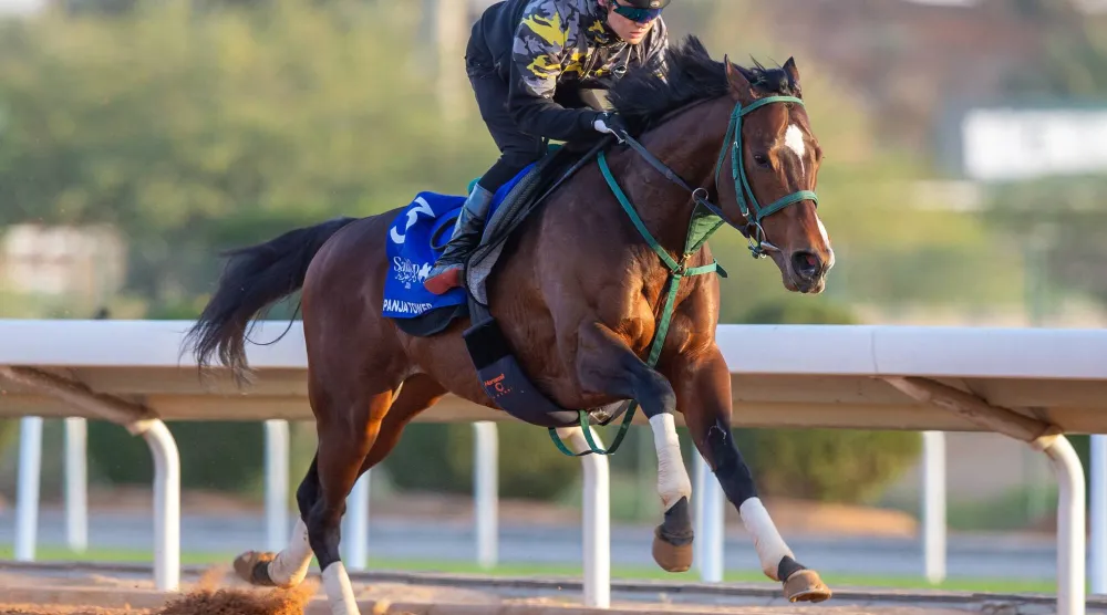 بانغا تاور يقود التحدي الياباني نحو لقب جديد في كأس ال 1351 للسرعة (نادي سباقات الخيل)