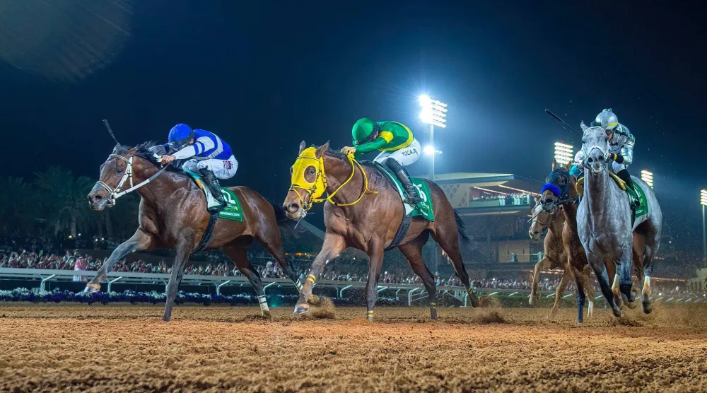 14 جوادا وفرسا سيتنافسون للفوز بالسباق الأغلى يوم السبت (نادي سباقات الخيل)