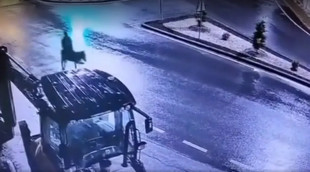 لقطة من الفيديو المتداول على وسائل التواصل الاجتماعي