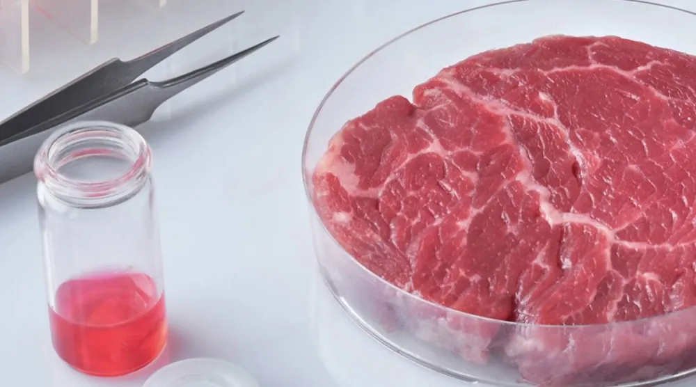 الأبحاث تركز على إنتاج لحوم مستزرعة في المختبر تشبه اللحوم التقليدية (جامعة كاليفورنيا)