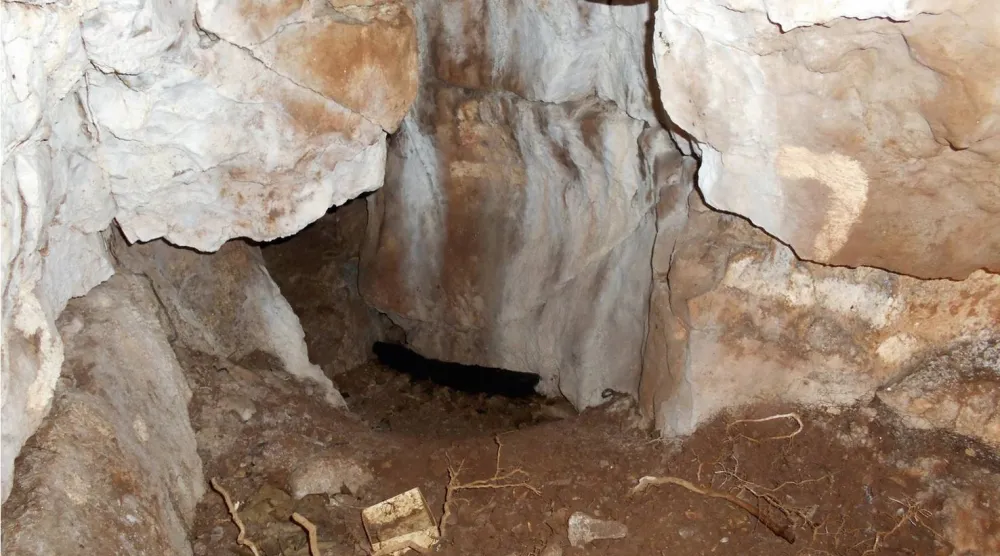 بعض الاكتشافات تُعيد إلى الماضي وجهه الإنساني (جامعة لانكشاير)