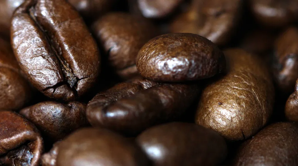 17 April 2012, North Rhine-Westphalia, Vluyn: A general view of Arabica Coffee beans. (dpa)