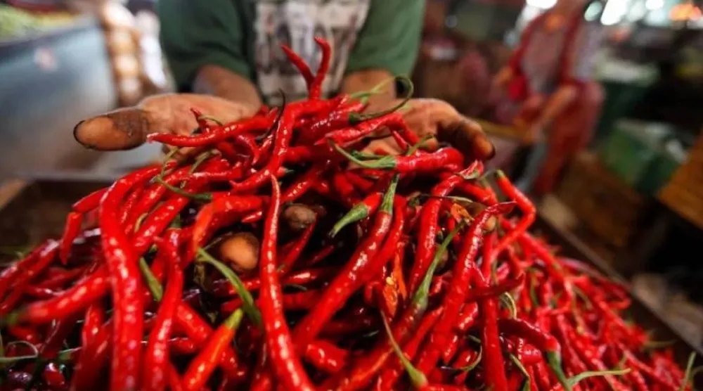 يؤثر تناول الأطعمة الحارة بشكل منتظم على الجهاز الهضمي بطرق متعددة (رويترز)