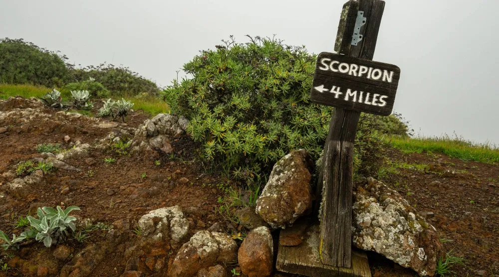 المعرفة... أول درع في مواجهة ما يختبئ تحت الأقدام (شاترستوك)
