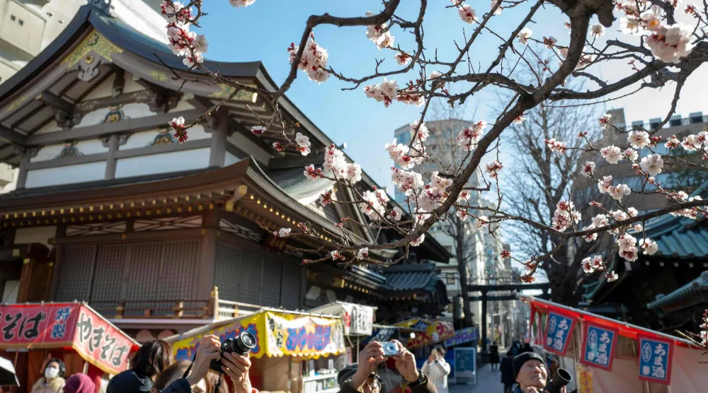 زوار يلتقطون صوراً لأزهار البرقوق المتفتحة في ضريح يوشيما تينجين في طوكيو (أ.ف.ب)