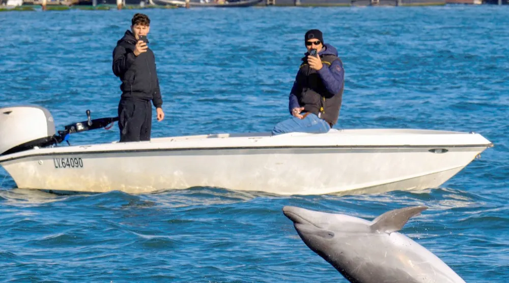 يسبح حيث تكثر المراوح كأنَّ الطمأنينة خيارٌ شخصي (رويترز)