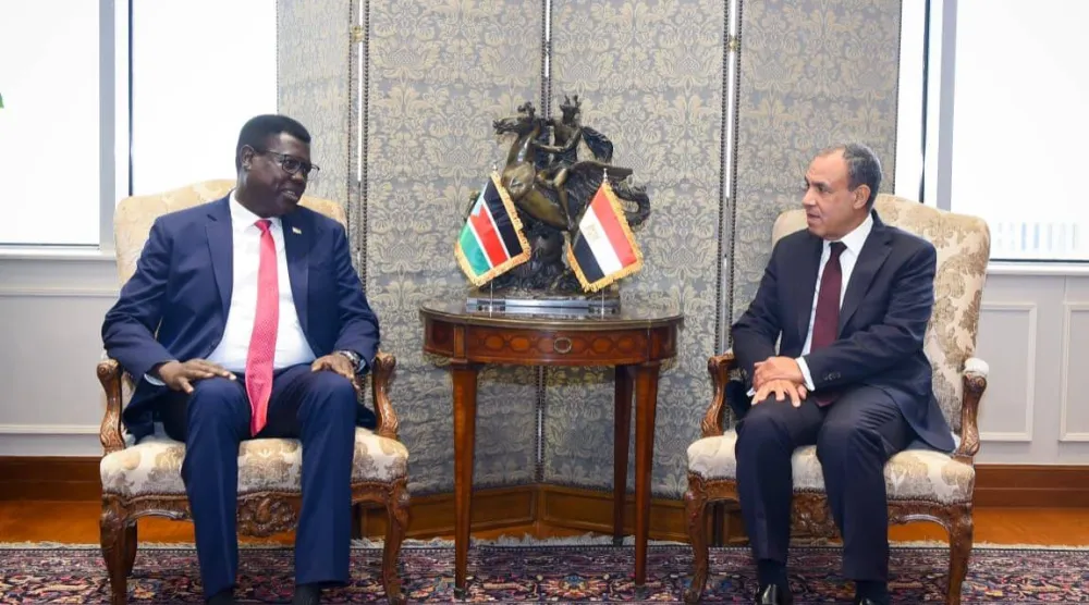 وزير الخارجية المصري يناقش مع نظيره الجنوب سوداني في القاهرة التعاون بين دول حوض النيل (الخارجية المصرية)