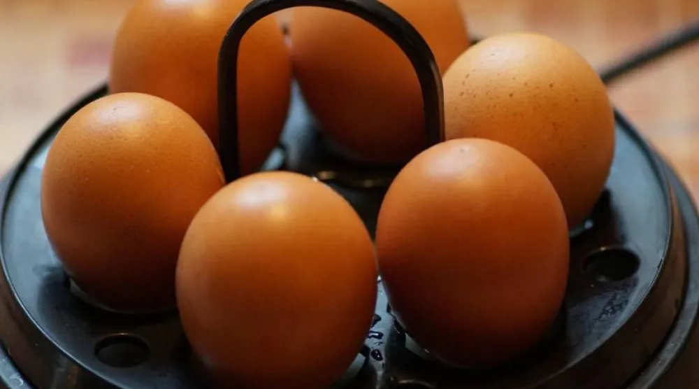 يُعدّ البيض مصدراً مهماً للبروتين قد يساهم في خفض خطر الخرف عند تناوله بانتظام (بكساباي)