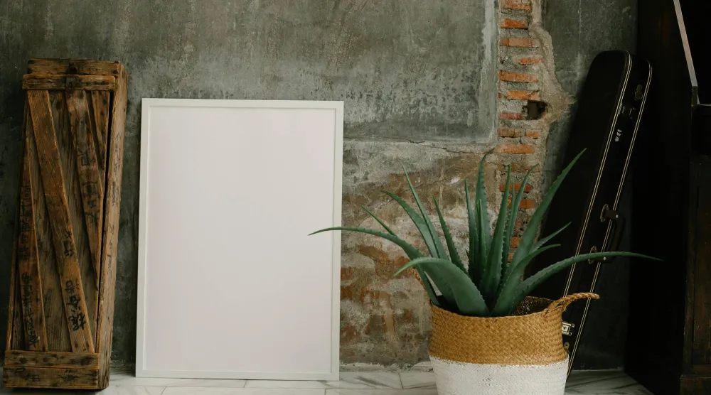 جل الصبار يُعتبر من أشهر العلاجات المنزلية الطبيعية (بيكسلز)