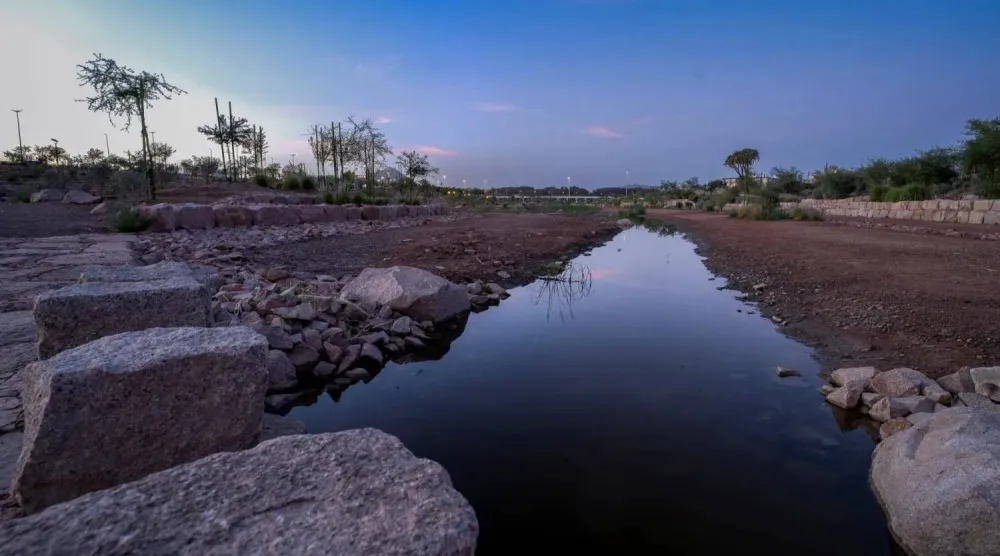 Wadi Al-Aqiq was famed for the quality and sweetness of its water (SPA)