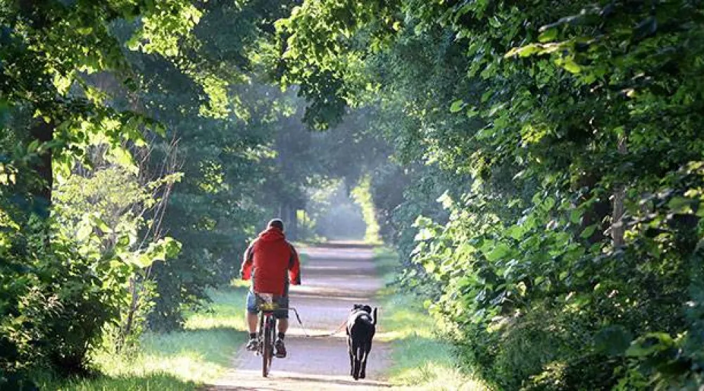 دراجة كهربائية... وطريق أقصر نحو صحة أفضل (جامعة أوتاغو)