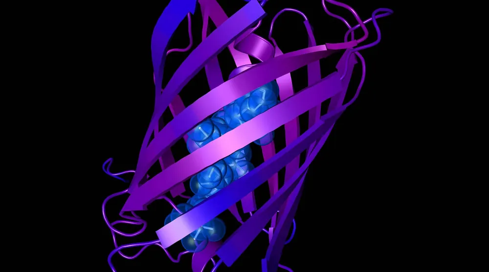 بروتين فلوري أخضر من أحد أنواع قنديل البحر
