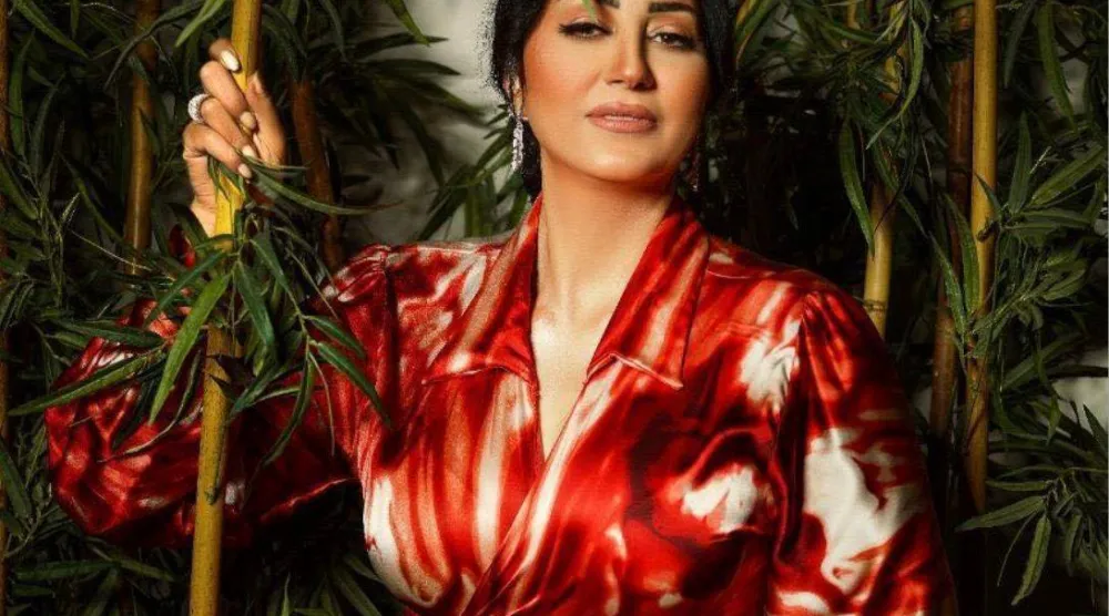 الفنانة وفاء عامر (صفحتها على «فيسبوك»)