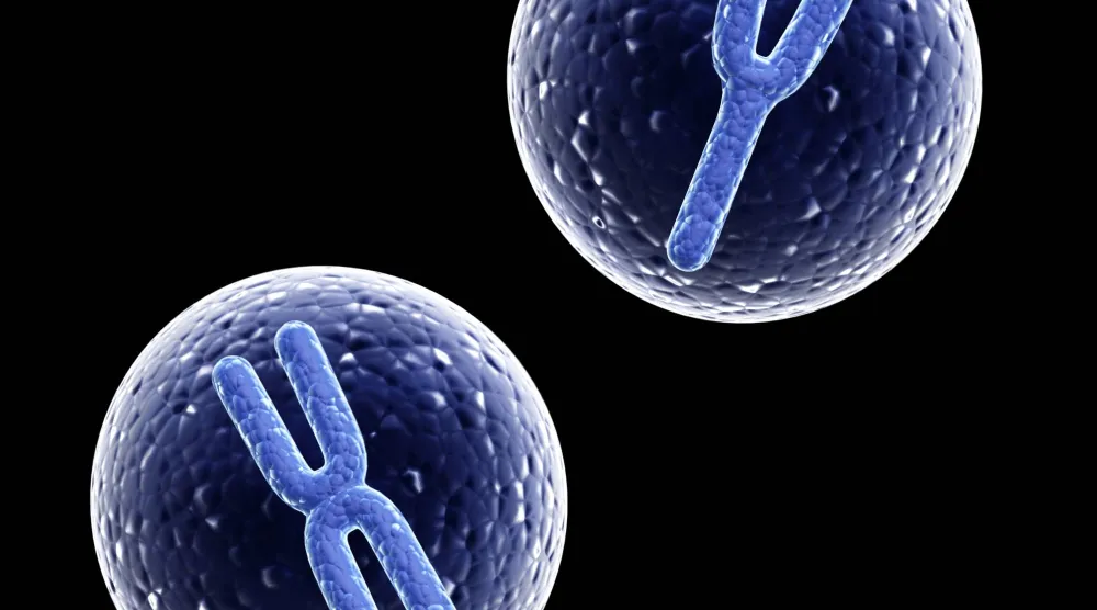 اختراق علمي: «جين أناني» يتحكم في جنس الأجنة