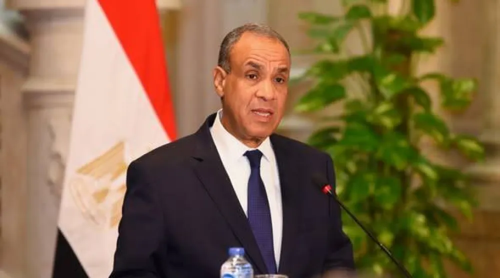وزير الخارجية المصري بدر عبد العاطي (الخارجية المصرية)