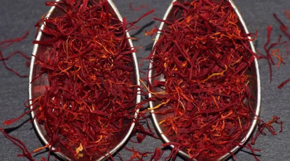 الزعفران أو مركباته النشطة قد يلعبان دوراً في دعم علاج مجموعة واسعة من الحالات الصحية (بيكساباي)