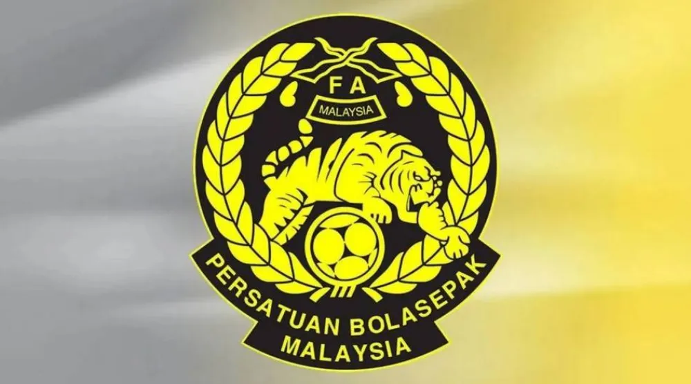 حصل اللاعبون على جوازات سفر ماليزية وتم اختيارهم في مباراة فيتنام (الاتحاد الماليزي)