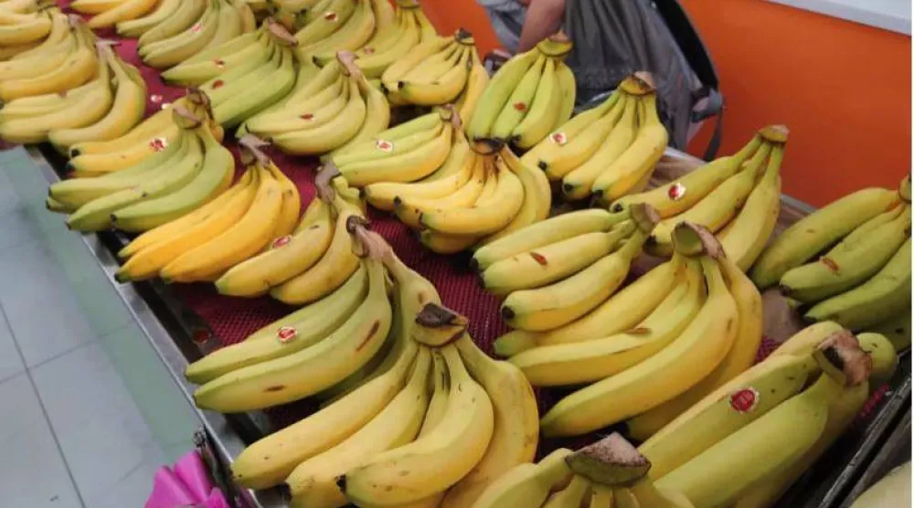 موز معروض للبيع في كشك فواكه بتايبيه (أرشيفية-أ.ب)