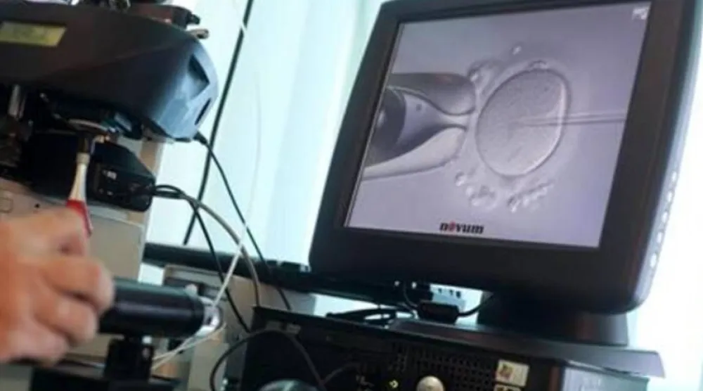 عدد الحيوانات المنوية في الدول الغربية انخفض بنحو 60 % عالمياً منذ عام 1973 (أرشيفية - رويترز)