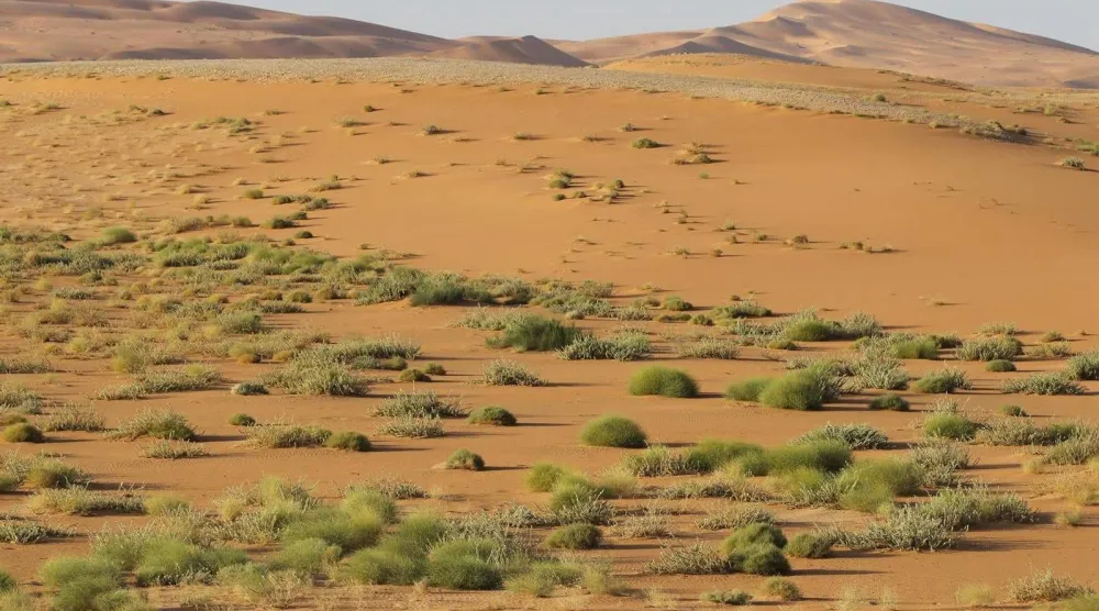 ترقد «الربع الخالي» فوق اثنين من أكبر حقول الغاز والنفط في العالم (واس)