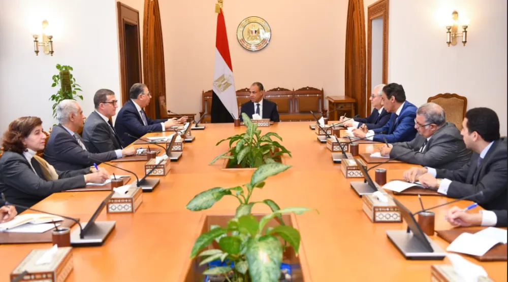 وزير الخارجية المصري وجَّه بتكثيف متابعة أوضاع المصريين بالخارج (الخارجية المصرية)