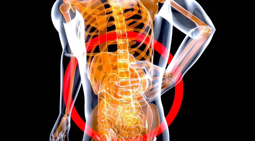 التغيرات التي تطرأ على الأمعاء مع التقدم في العمر يمكن أن تسهم في تدهور القدرات الإدراكية (بيكسباي)