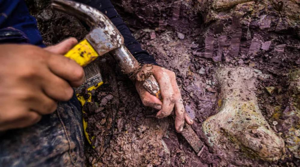 An employee works at the excavation site where dinosaur bones were found in Davinopolis, Maranhao state, Brazil, April 28, 2021. Giovani de Toledo Viecili/Handout via REUTERS 