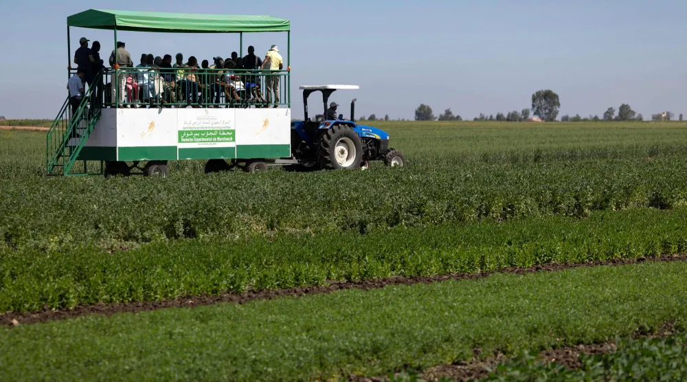 الإمدادات الغذائية العالمية قد تتضرر بشدة إذا ما امتدّت حرب إيران (أ.ف.ب)