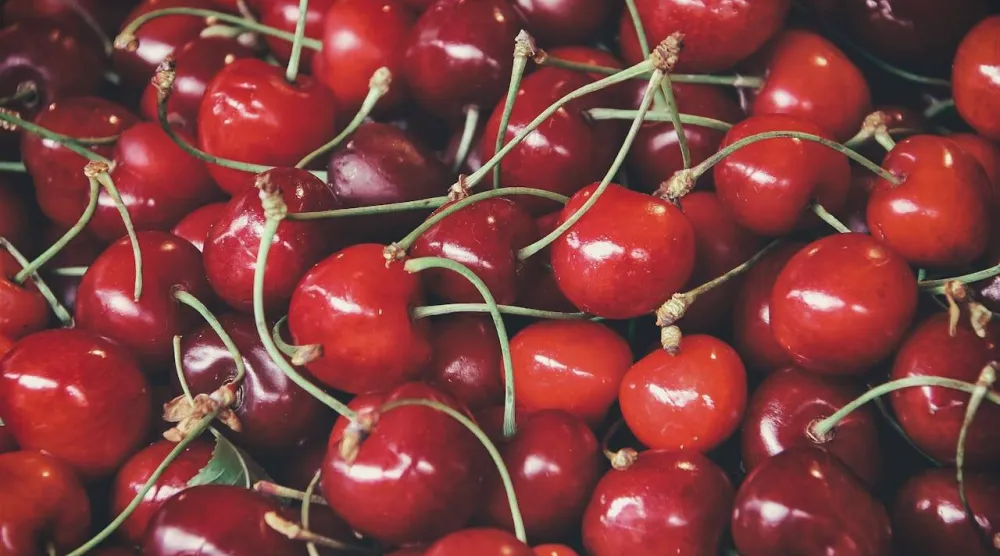 يُعد الكرز من أكثر الفواكه التي دُرست فيما يتعلق بخصائصها المضادة للالتهاب (بكسلز)
