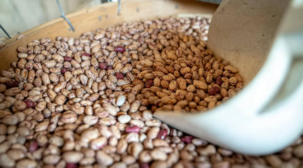 الكثير من الناس يربطون الألياف بالبقوليات مثل الفاصولياء (بيكسلز)