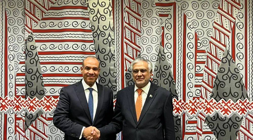 لقاء سابق بين وزير الخارجية المصري بدر عبد العاطي ونظيره الباكستاني محمد إسحاق دار في إسلام آباد (الخارجية المصرية)