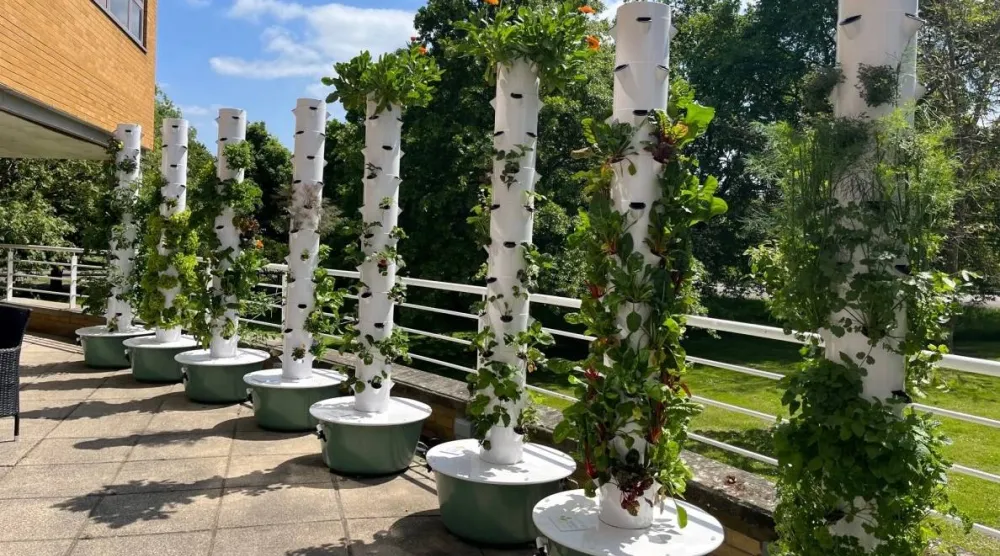 الحدائق العمودية تعتمد على زراعة النباتات بشكل رأسي (جامعة ساري)