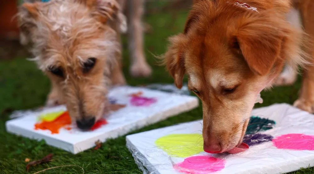 رفيقٌ لم يخذل الإنسان يوماً (أ.ف.ب)