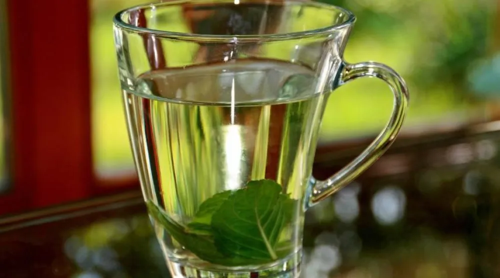 من أبرز فوائد شاي النعناع أنه يدعم عملية الهضم (بكسباي)