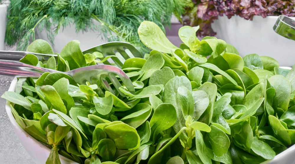 الخبراء ينصحون بتناول 6 حصص أو أكثر أسبوعياً مثل السبانخ والكرنب والسلطات والخضراوات المطبوخة (بيكسلز)