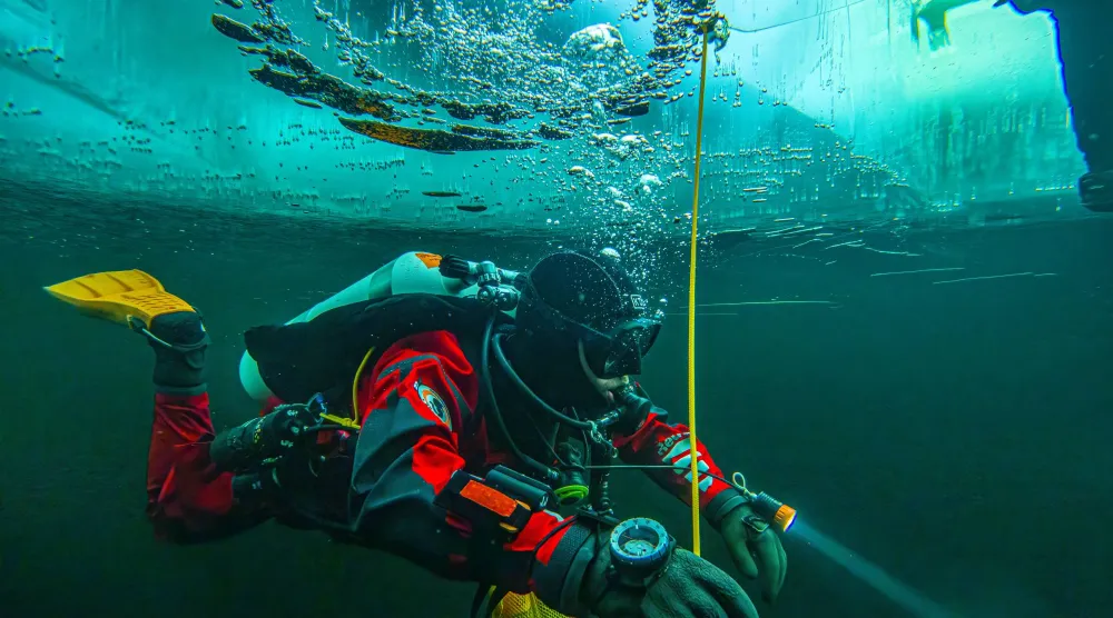 الصقيع لا يخفي الحياة (أ.ب)