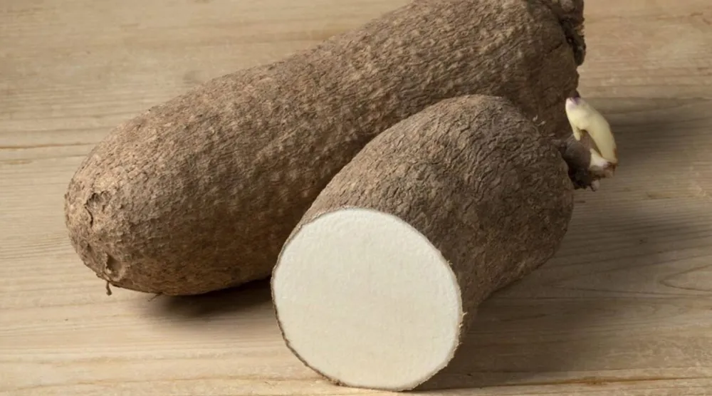 «اليام» درنة نشوية تدخل في إعداد الأطباق الصحية (شاترستوك)