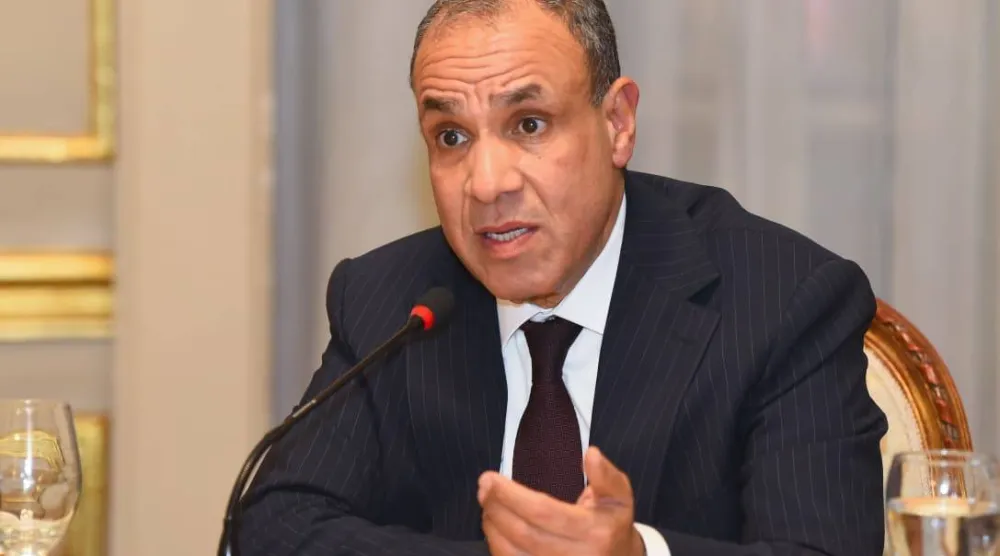 وزير الخارجية المصري بدر عبد العاطي (الخارجية المصرية)