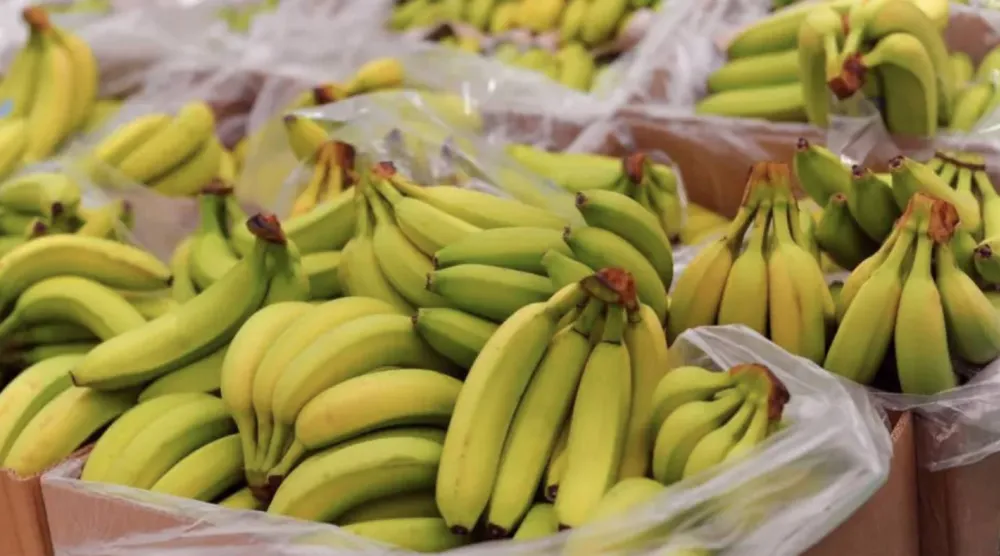 خطأ صغير يفتح باباً كبيراً للعطاء (غيتي)